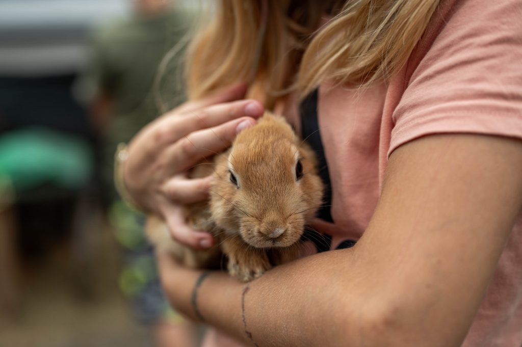 Kaninchen im Arm